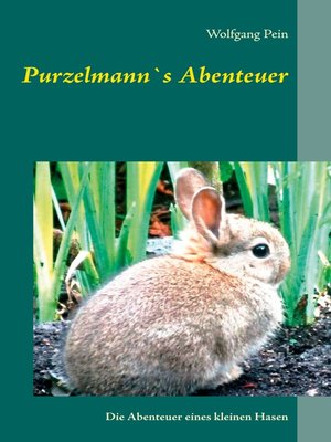 cover image of Purzelmann's Abenteuer